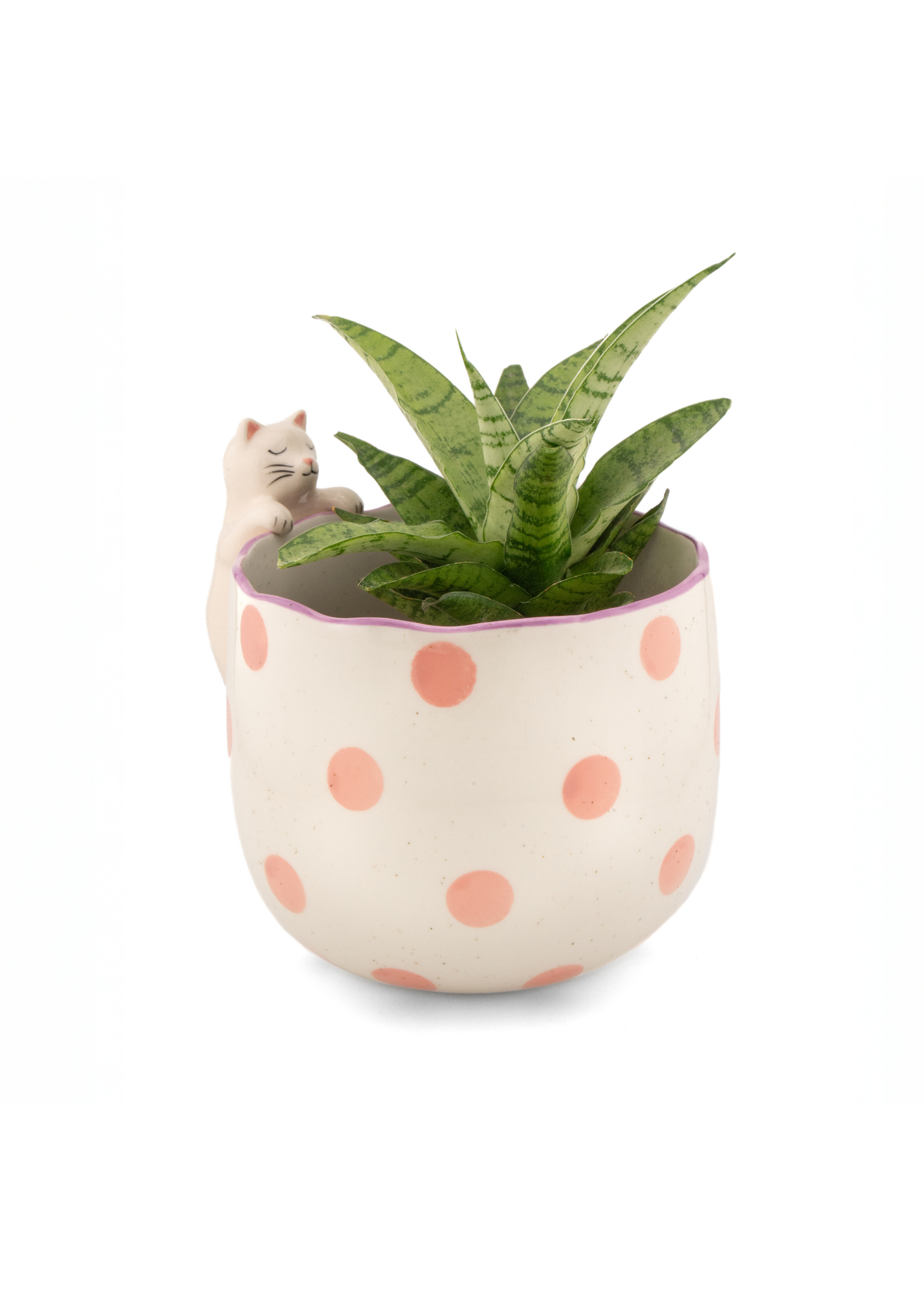 Sass & Belle - Peeking Cat Planter