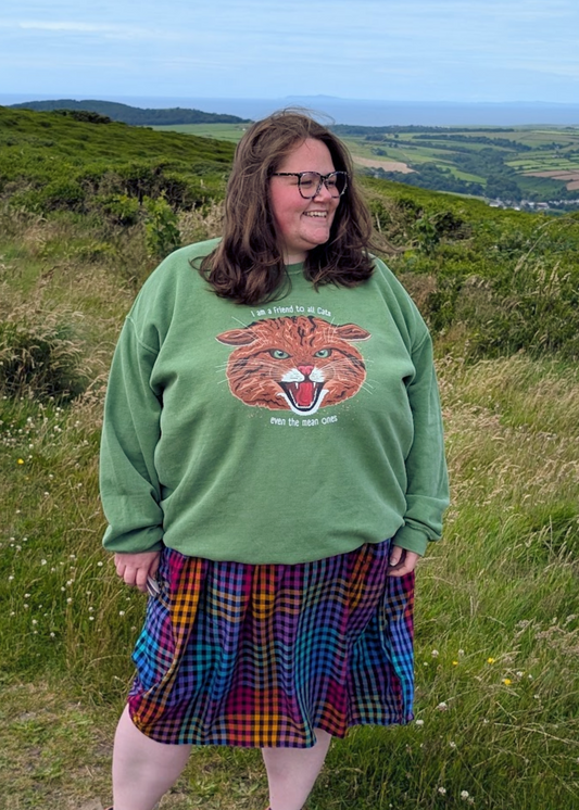 Home of Rainbows - "I'm A Friend To All Cats" Scottish Wildcat Sweater