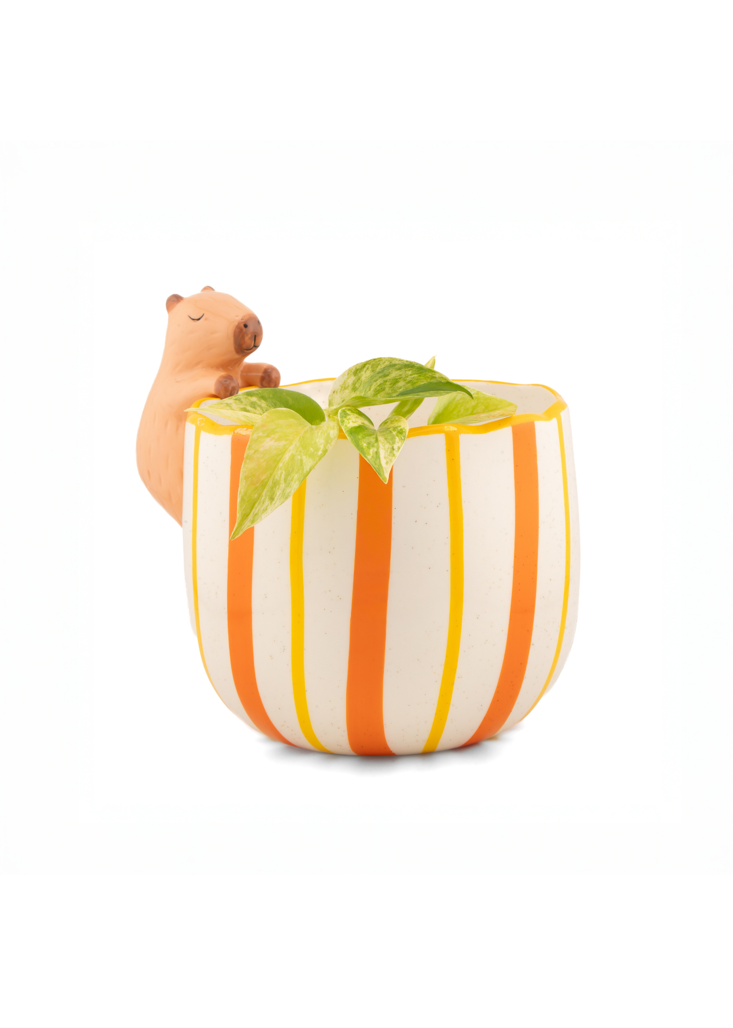 Sass & Belle - Peeking Capybara Planter