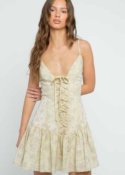 Daisy Street - Rosey Floral Mini Dress