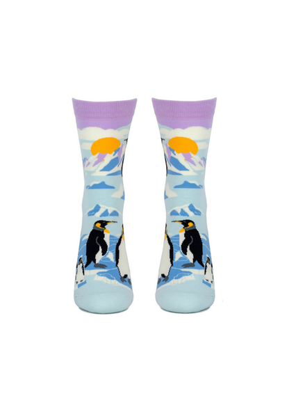 Joe Cool - Winter Penguin Socks