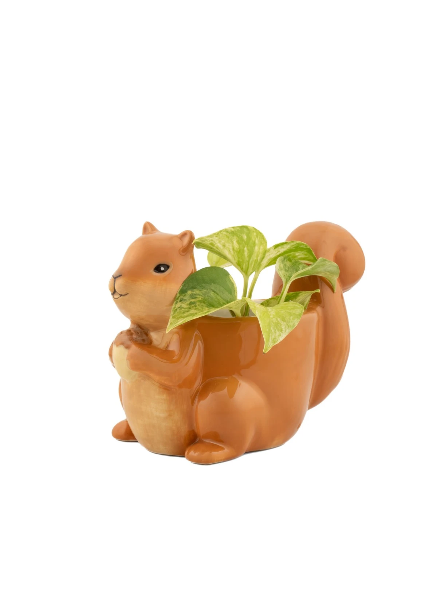 Sass & Belle - Squirrel Mini Planter