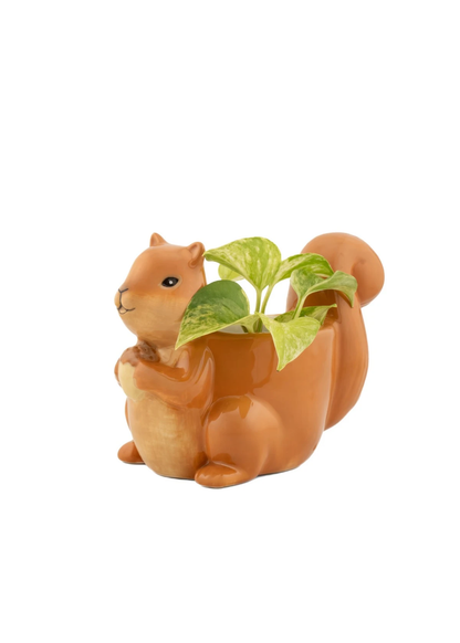 Sass & Belle - Squirrel Mini Planter