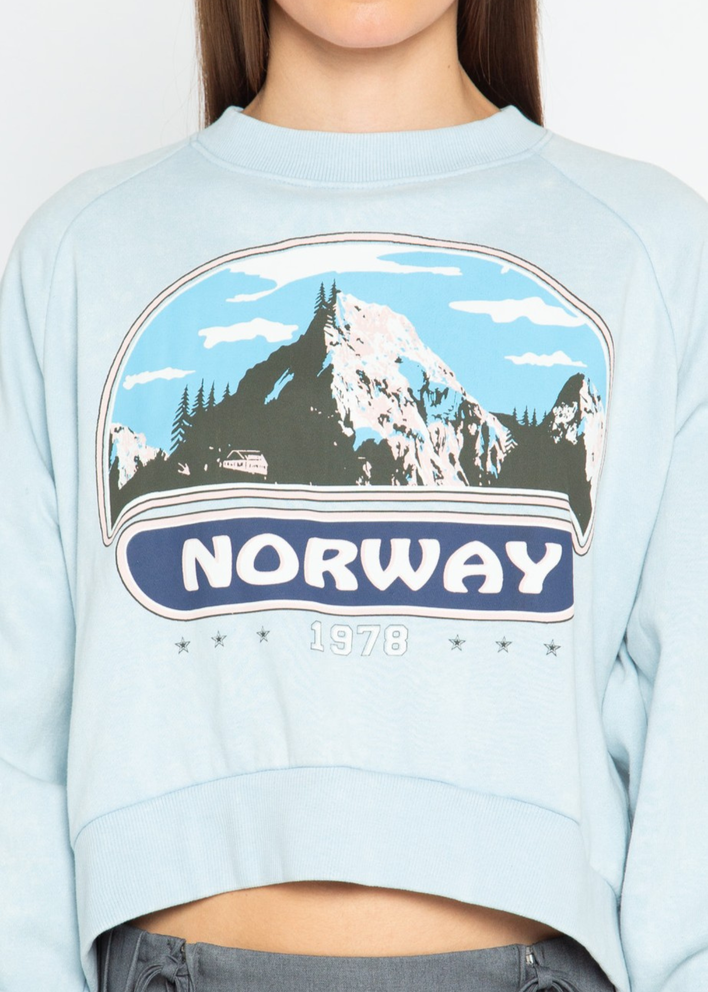 Daisy Street - Baby Blue Norway Cropped Sweater