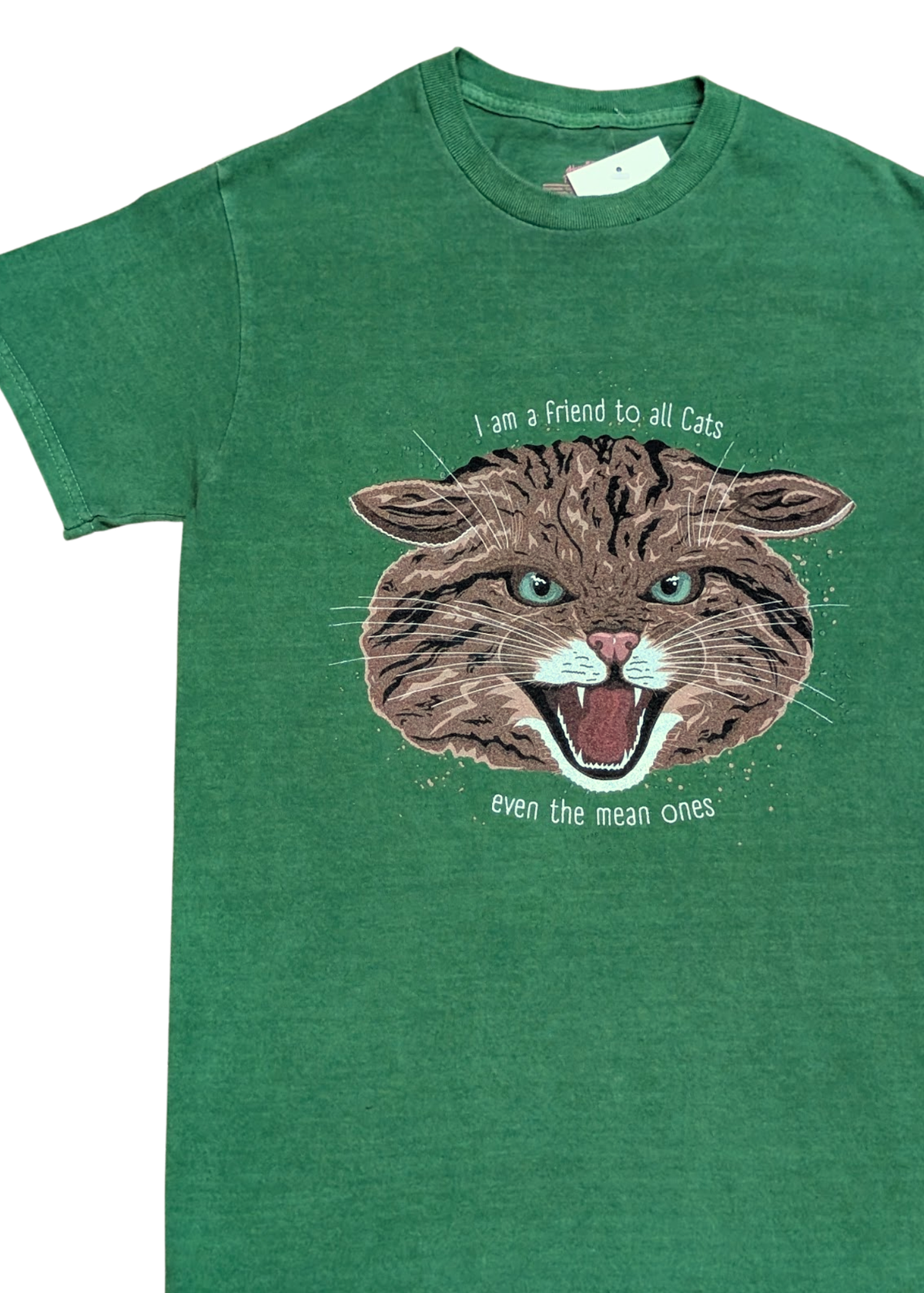 Home of Rainbows - "I'm A Friend To All Cats" Scottish Wildcat Tee