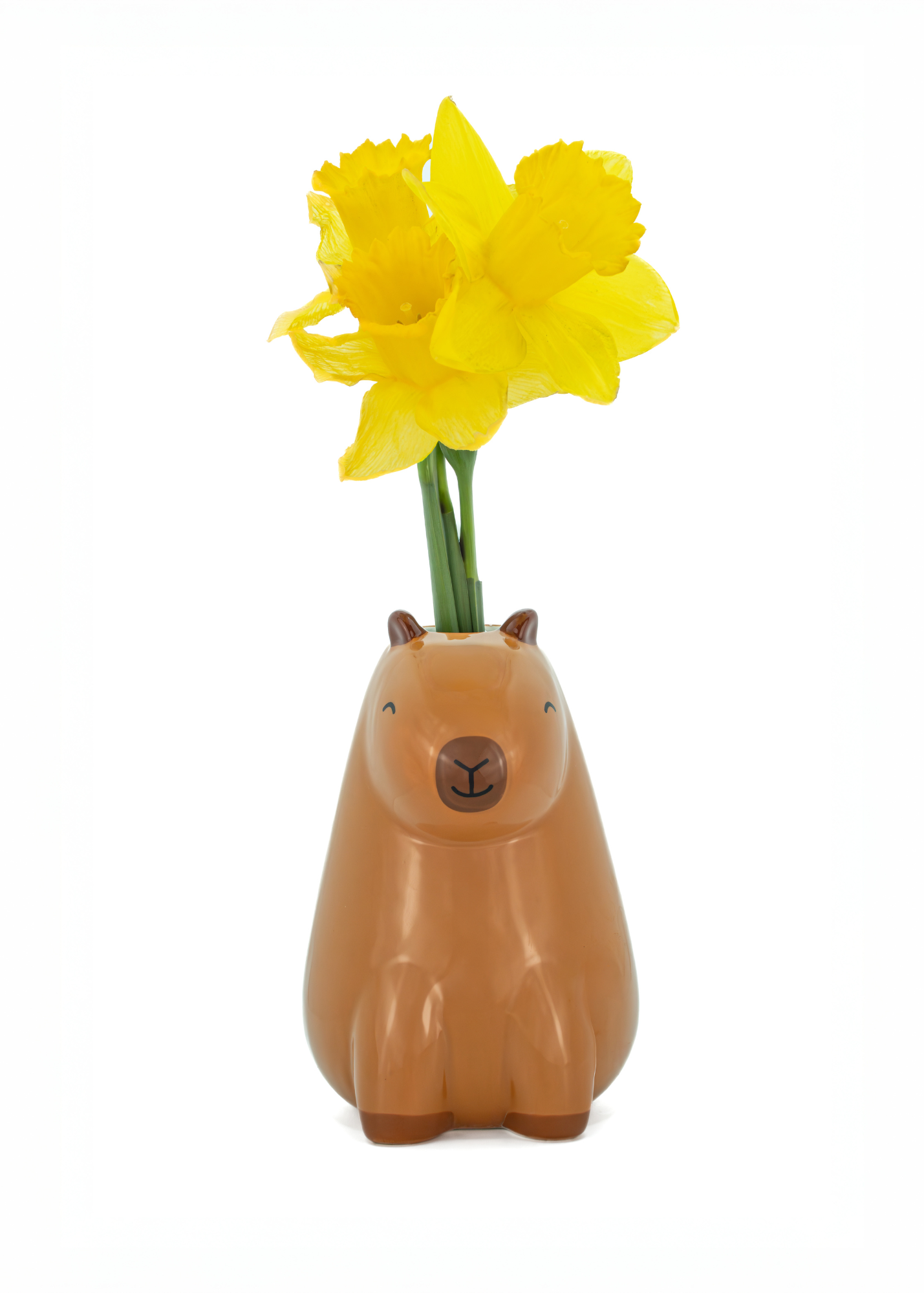 Sass & Belle - Capybara Mini Vase