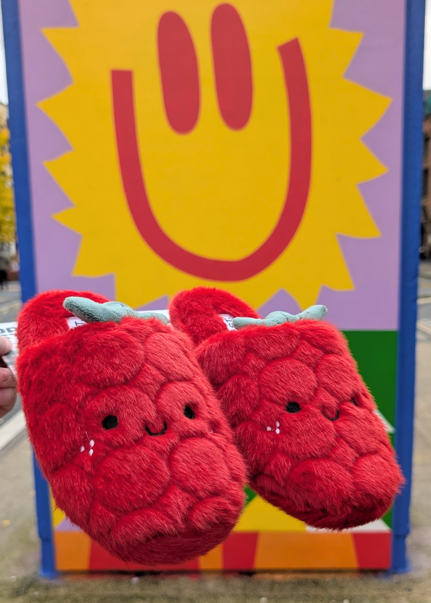 Daisy Street - Raspberry Plush Slippers