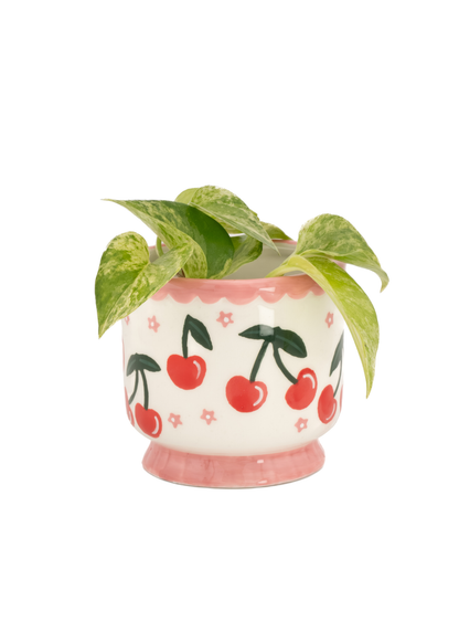 Sass & Belle - Cherry Mini Planter