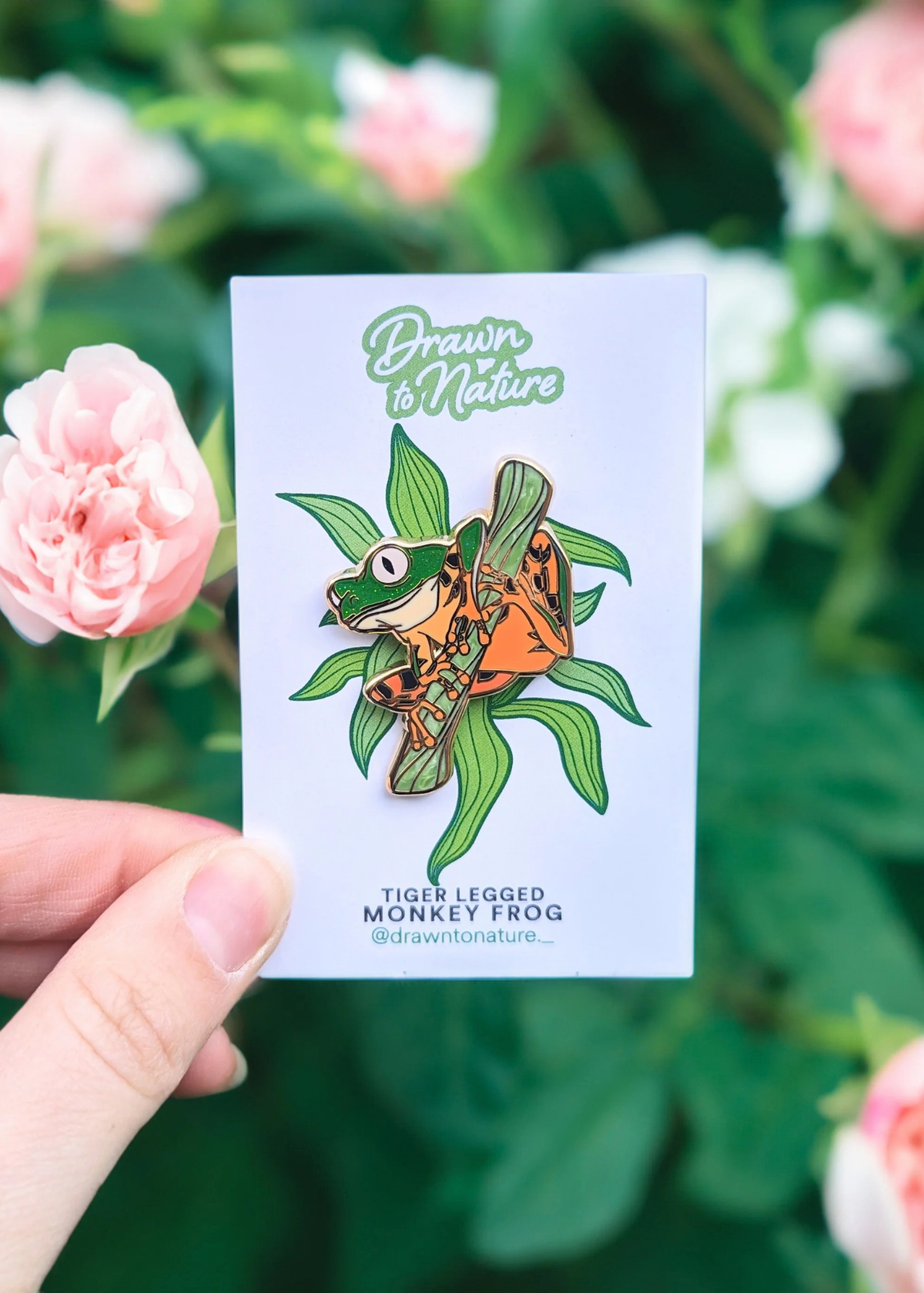 Drawn to Nature - Tiger Leg Tree Frog Enamel Pin