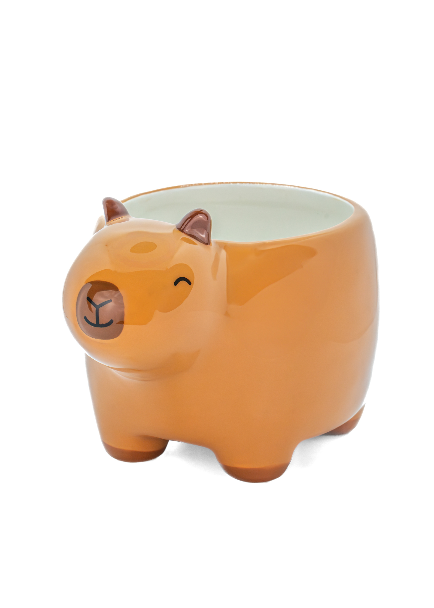 Sass & Belle - Capybara Mini Planter