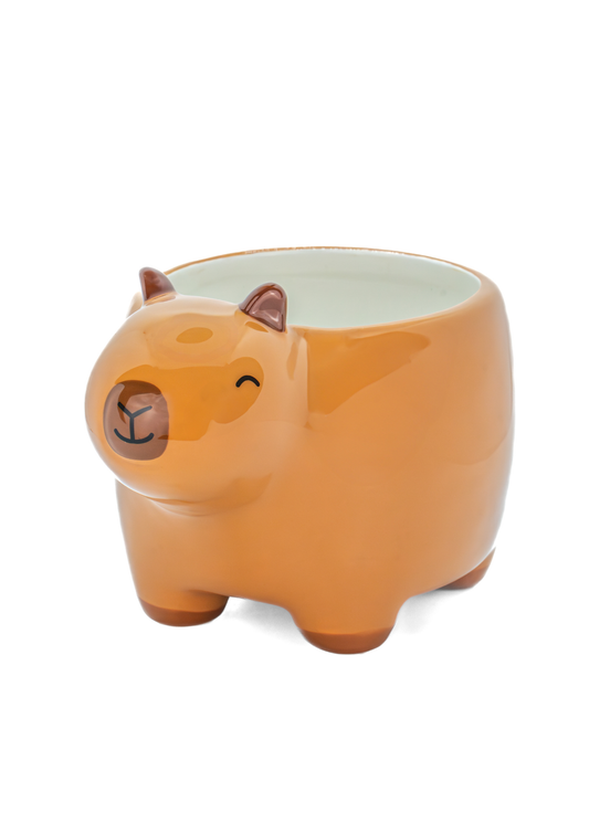 Sass & Belle - Capybara Mini Planter