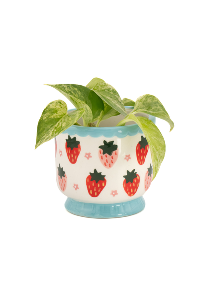 Sass & Belle - Strawberry Mini Planter