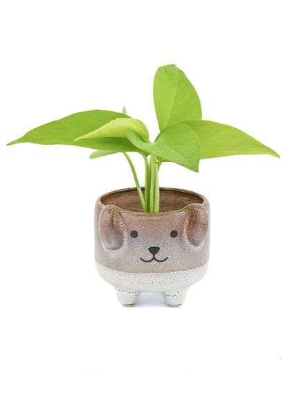 Sass & Belle - Mojave Dog Planter