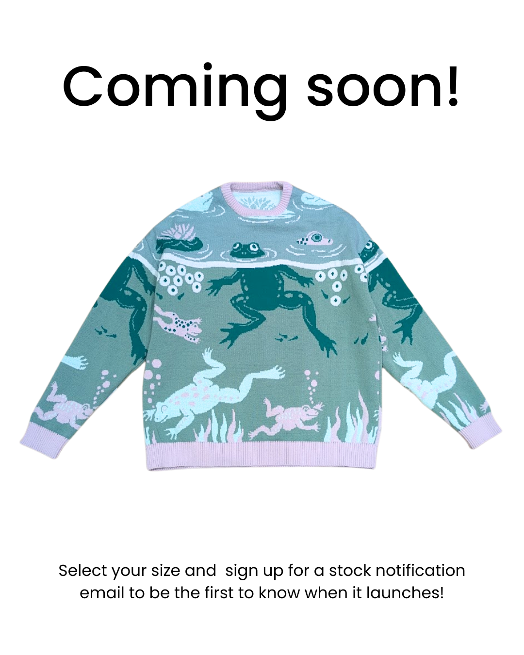 Home of Rainbows - The Froggy Pond Knitted Jumper