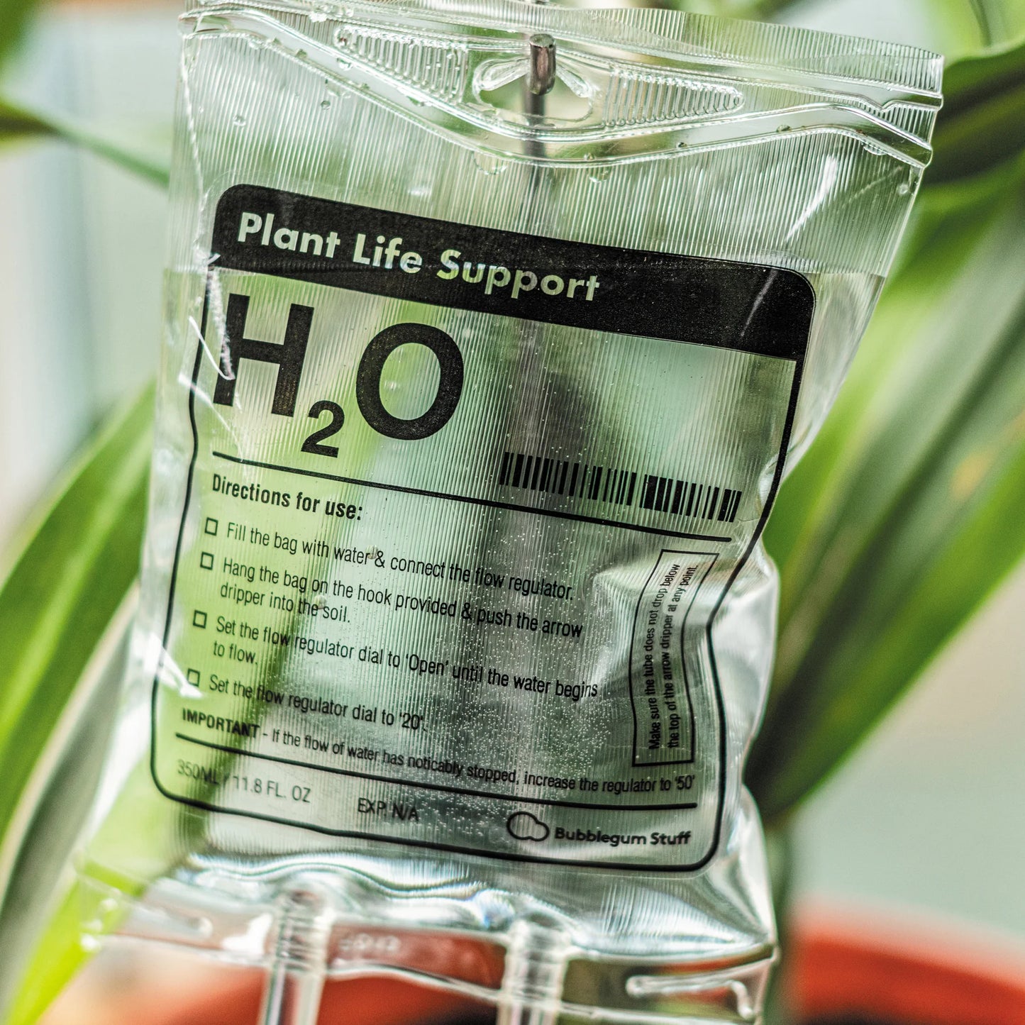 Bubblegum Stuff - Plant Life Support