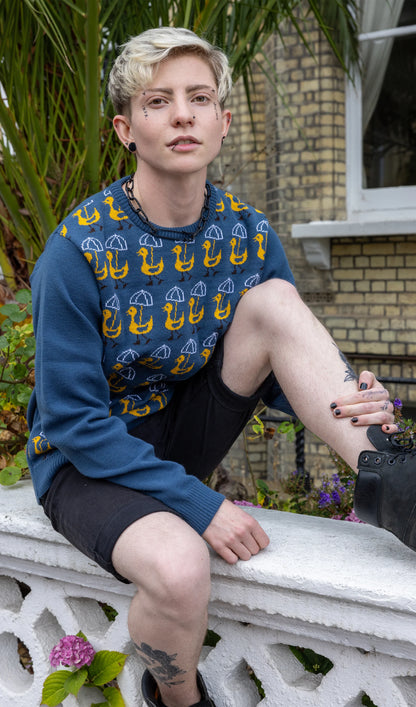 Run & Fly - Nice Weather for Ducks Jumper