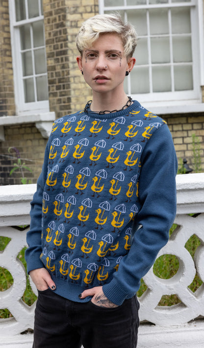 Run & Fly - Nice Weather for Ducks Jumper