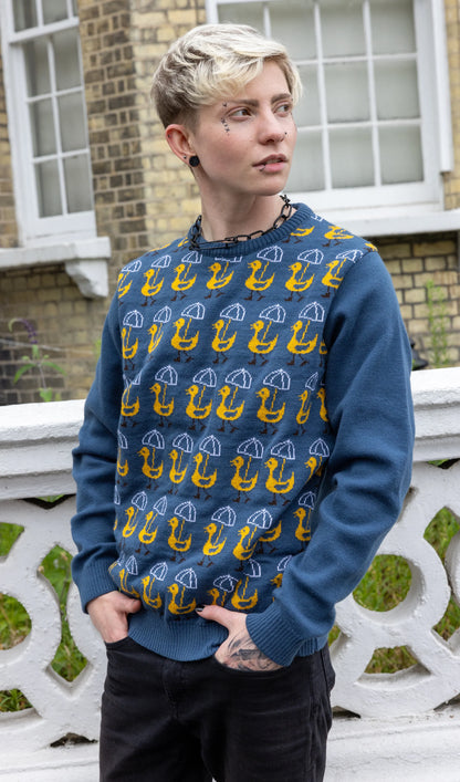 Run & Fly - Nice Weather for Ducks Jumper