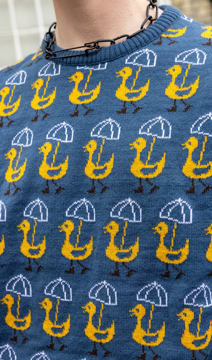 Run & Fly - Nice Weather for Ducks Jumper