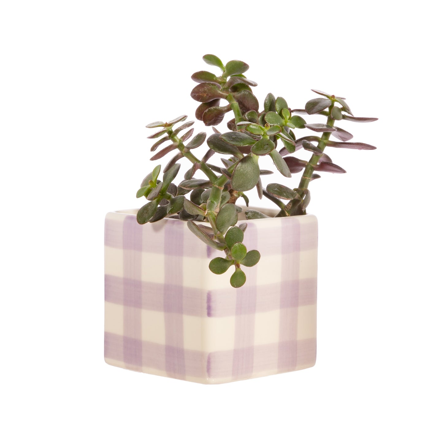 Sass & Belle - Lilac Gingham Square Planter