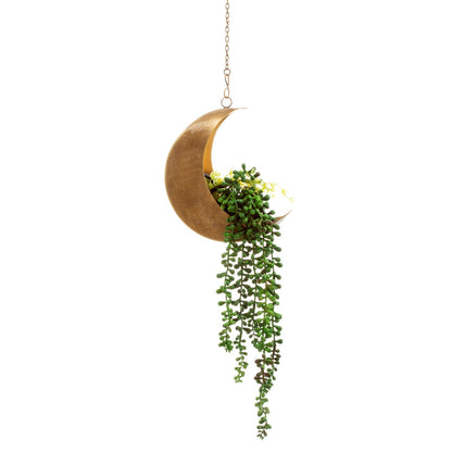 Sass & Belle - Celestial Moon Hanging Planter