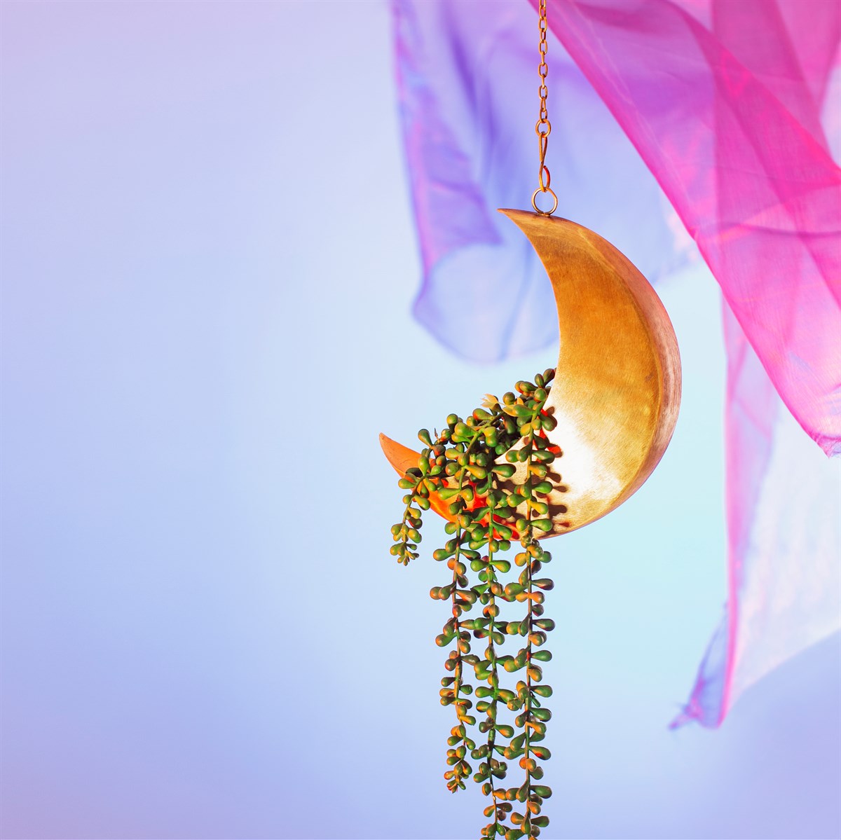 Sass & Belle - Celestial Moon Hanging Planter
