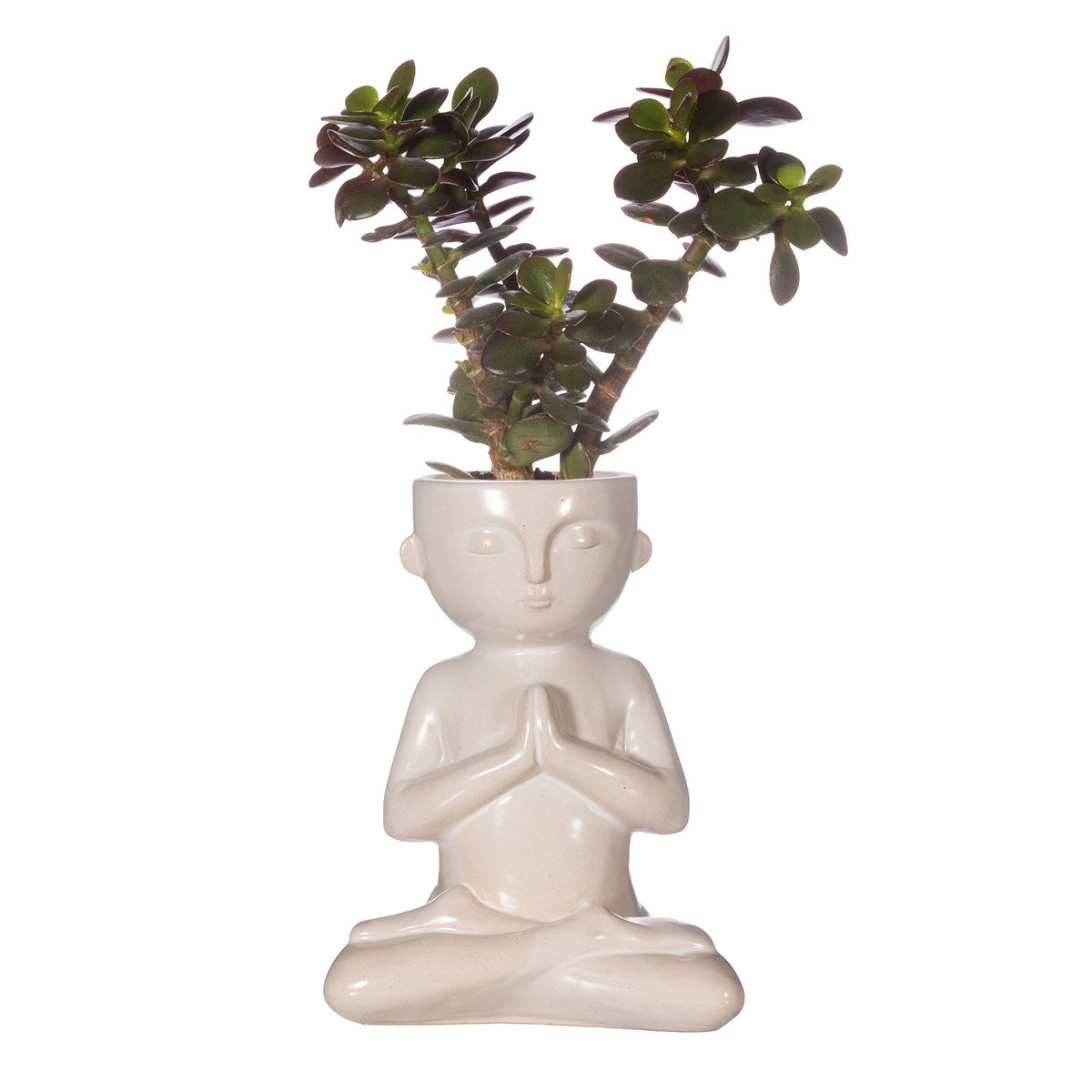 Sass & Belle - Slow Living Planter Large
