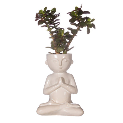 Sass & Belle - Slow Living Planter Large