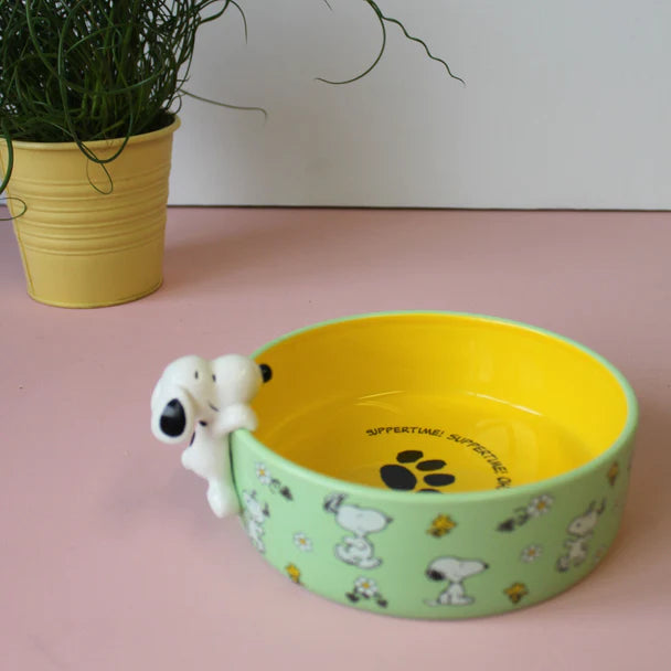 House of Disaster - Peanuts Snoopy Dog Bowl