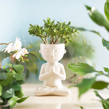 Sass & Belle - Slow Living Planter Large